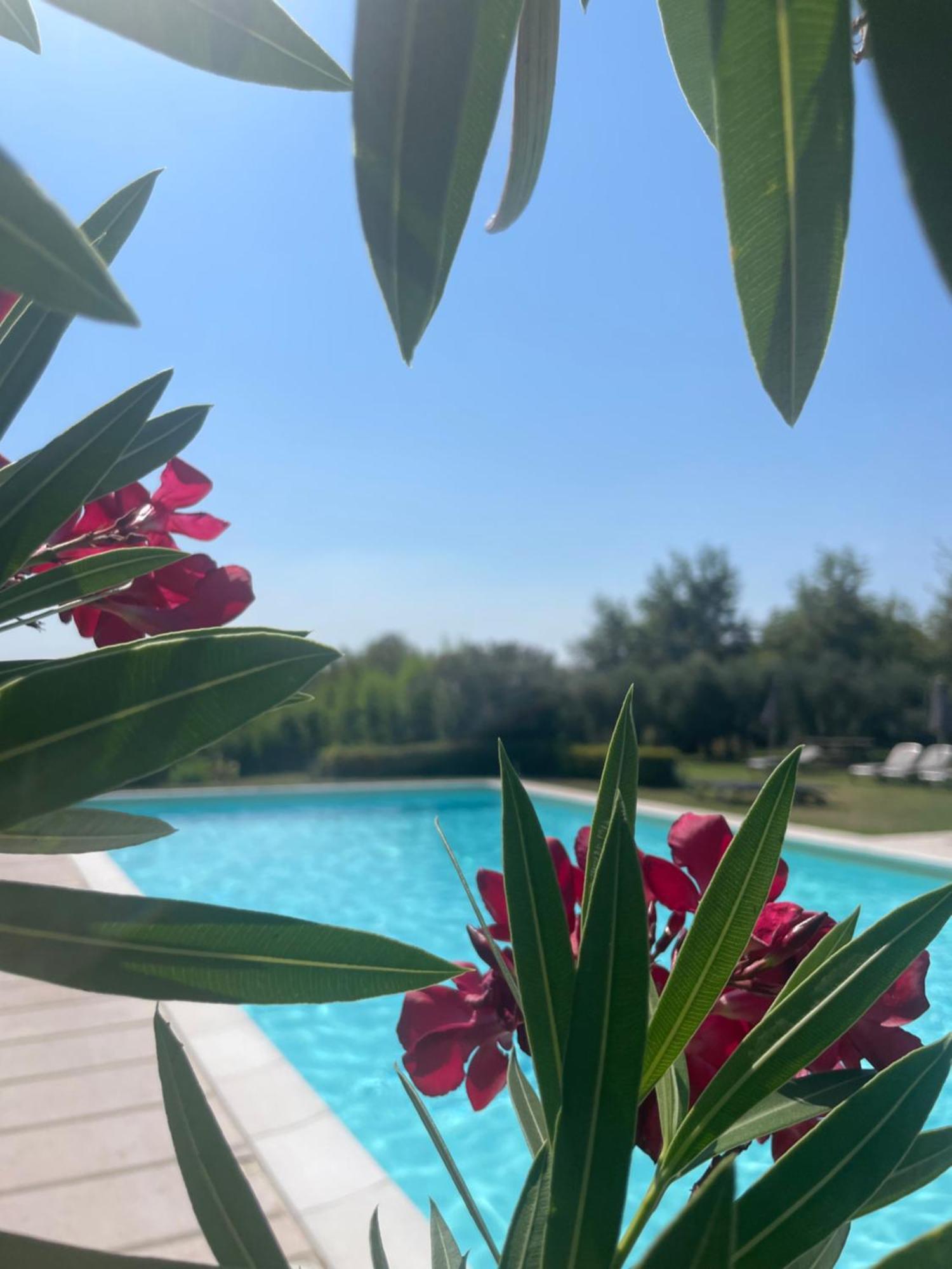 Agriturismo Antica Dimora Del Turco Sona Εξωτερικό φωτογραφία