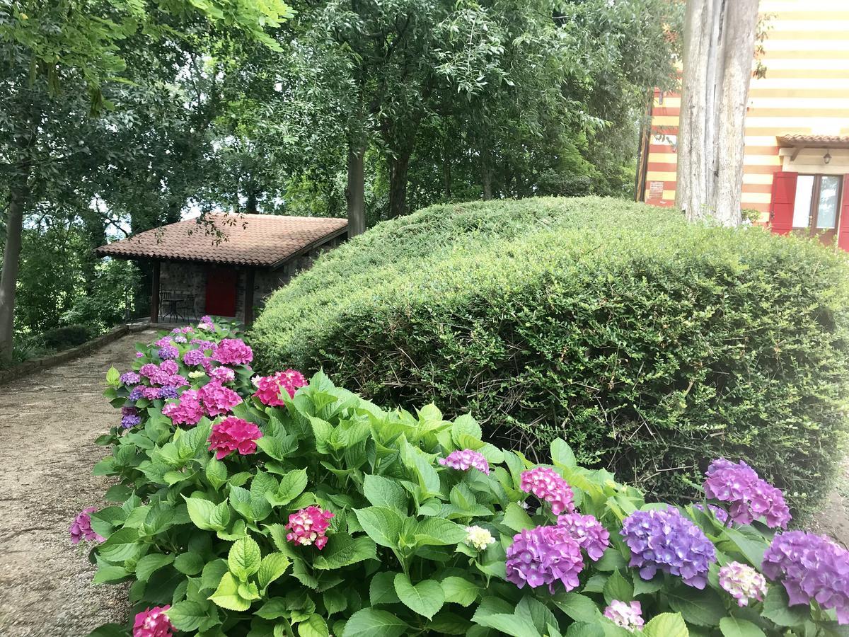 Agriturismo Antica Dimora Del Turco Sona Εξωτερικό φωτογραφία